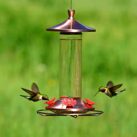 12 oz. Nectar Capacity Glass Tube Hummingbird Feeder with Copper Lid and Base