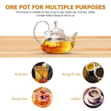 13.5oz/400 ml Glass Teapot with Removeable Metal Spout Hanging Spring