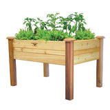 Elevated 2Ft x 4-Ft Cedar Wood Raised Garden Bed Planter Box - Unfinished